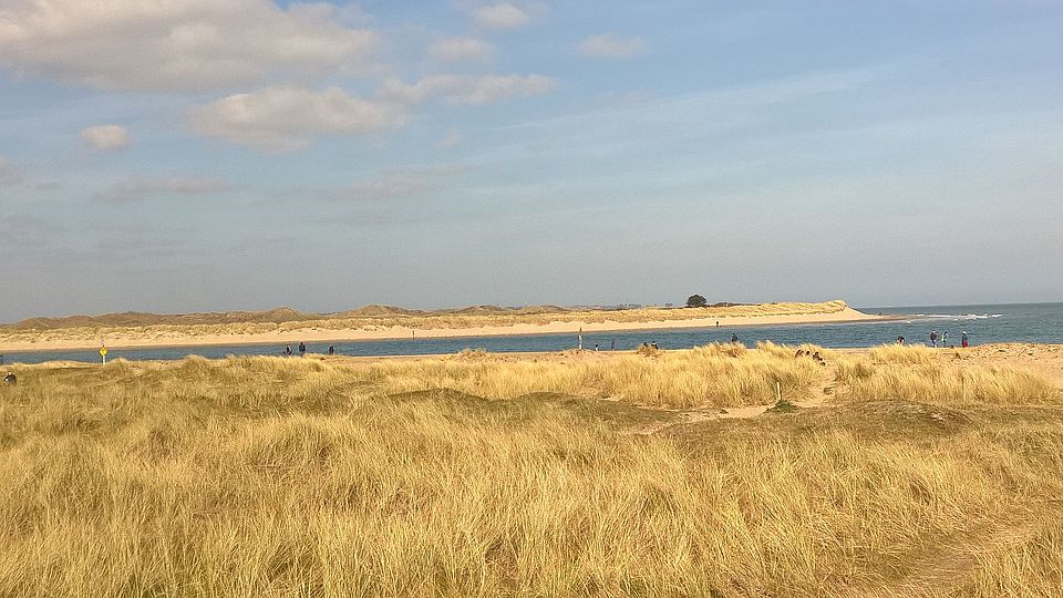 Strand